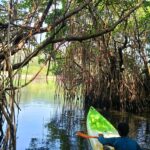 kayaking in bhogwe