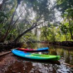 kayaking in vengurla