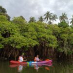 kokan kayaking